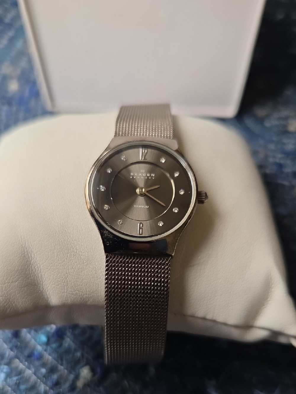 Skagen Silver Mesh Watch with Gray Dial